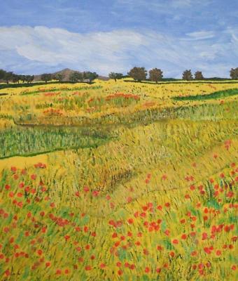 oro-e-papaveri-80x40