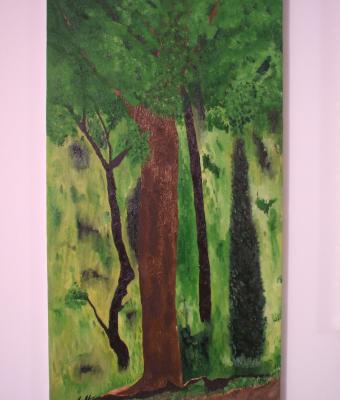 il-boschetto-32x63