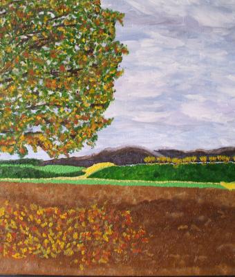 novembre-70x50