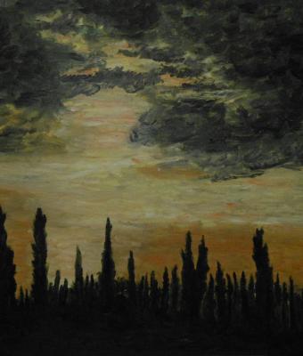 cipressi
