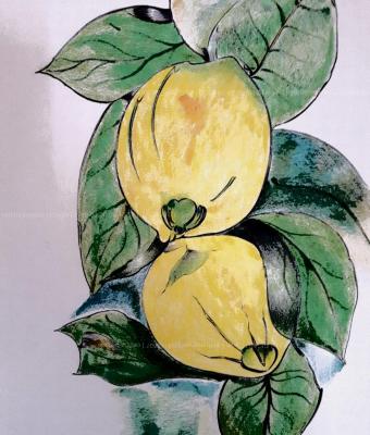 limoni