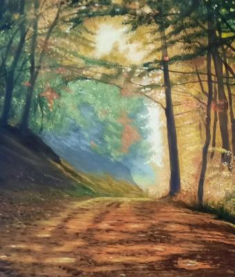 a-fairy-woods