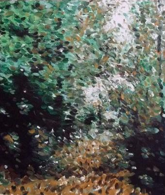 bosco-con-betulle