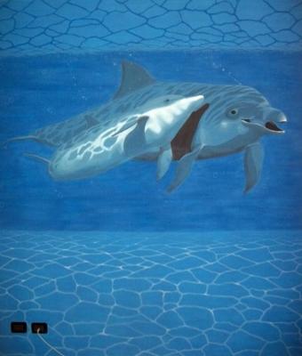 delfini