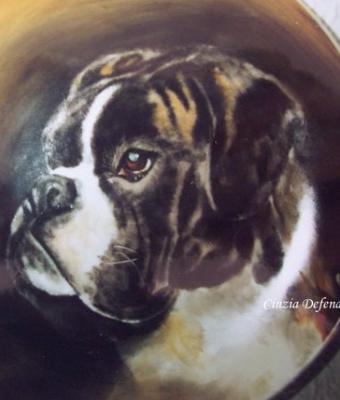 quotil-mio-primo-boxerquot