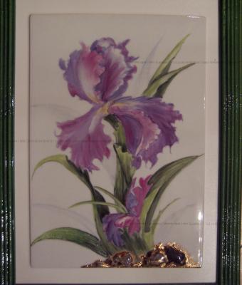 iris