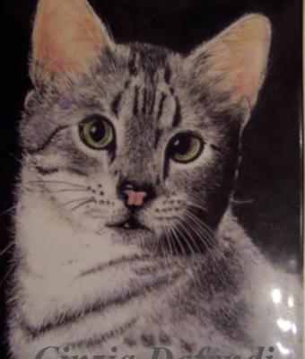 il-mio-gatto