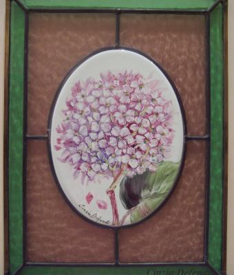 ortensie