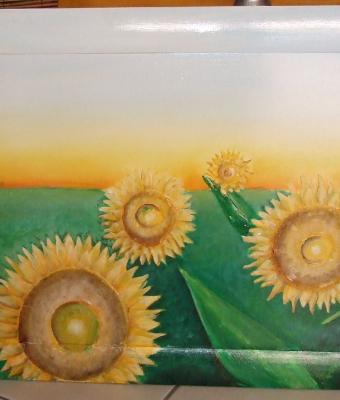 girasoli