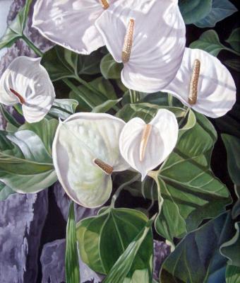 anthurium