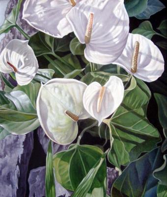 anthurium