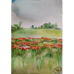 aria-di-campagna