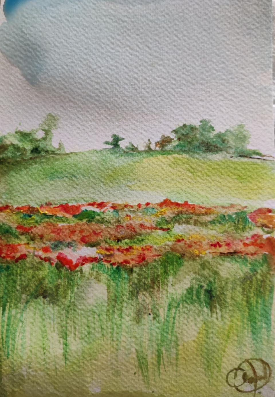 aria-di-campagna