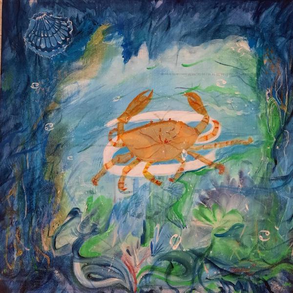 cancrozodiac
