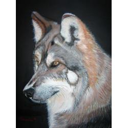 axel-il-lupo