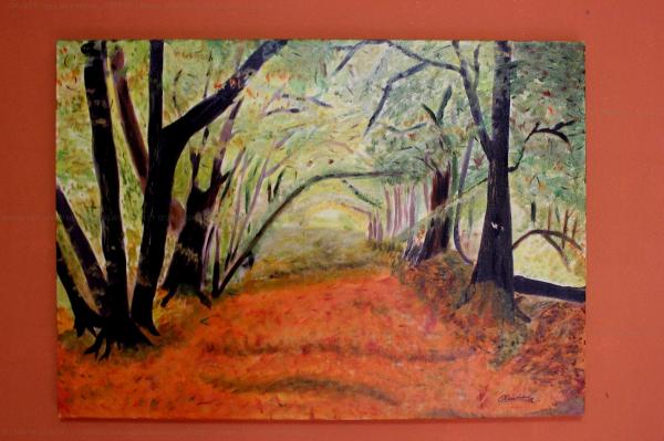 autunno-nel-bosco