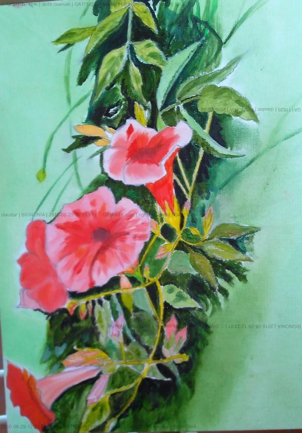 bignonia