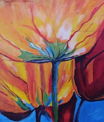 tulipani