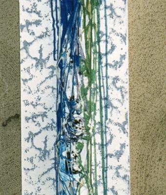 ricordi-natura-2004