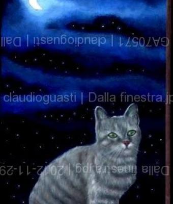 dalla-finestrajpg