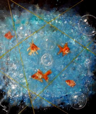 fish-and-bubbles