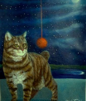 stellina-sotto-le-stelle