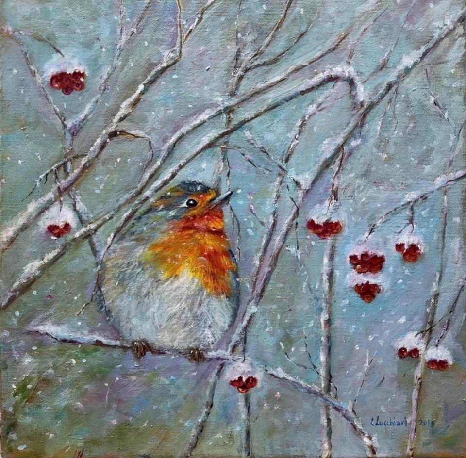 l-inverno-del-pettirosso