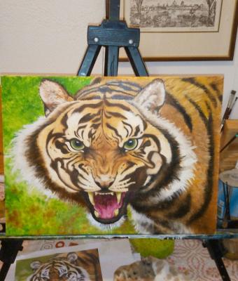tigre
