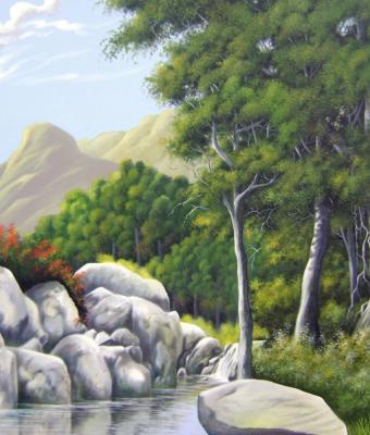 no-seio-da-floresta
