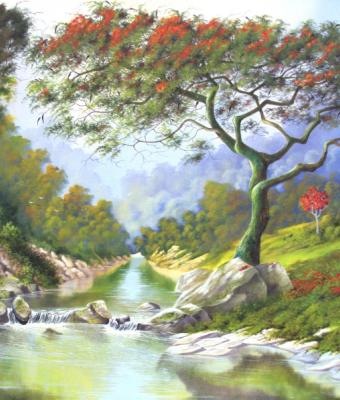 contemplando-a-natureza