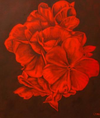 geranium