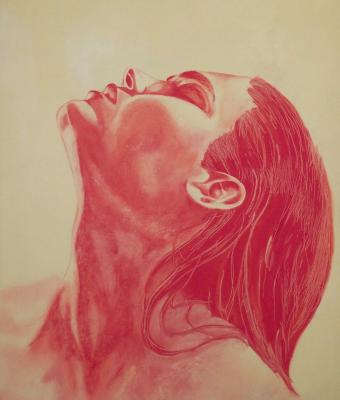 elevation