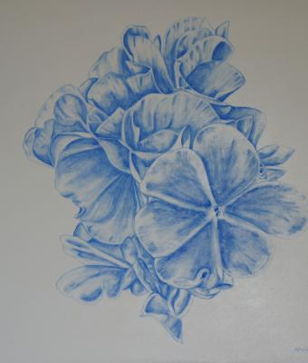 blu-geranium