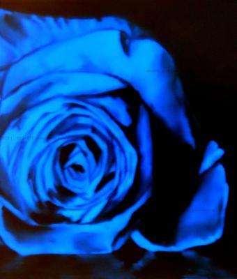 blu-rose