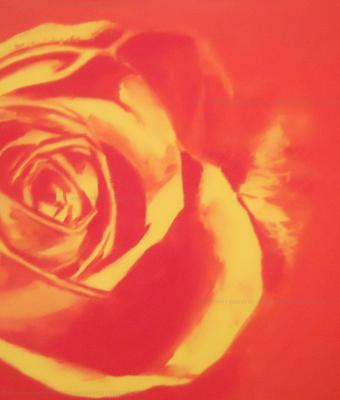 yellow-rose