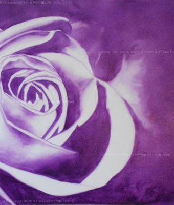 pink-purple