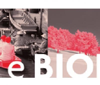 vincitori-del-concorso-quotdiversi-e-biodiversiquot-pordenone