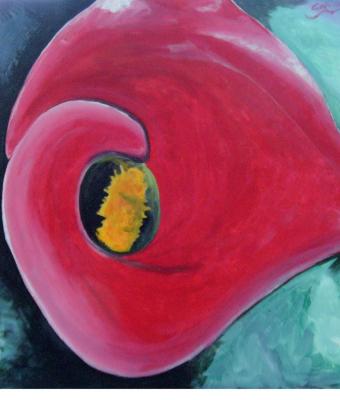 calla-rossa