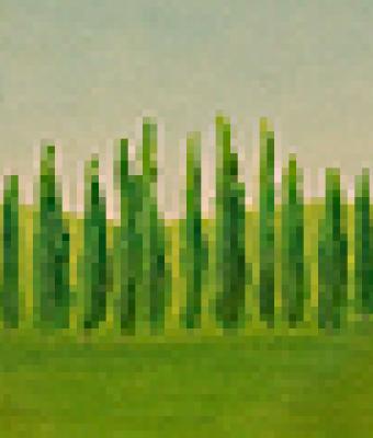 paesaggio-toscano