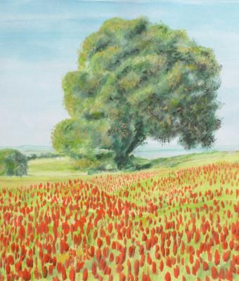 campo-in-fiore-09