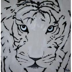 tigre-bianca