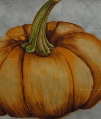 testa-di-zucca