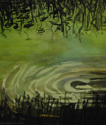 stagno-verde