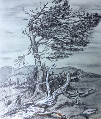 resilienza-albero-spezzato