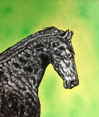 cavallo-nero