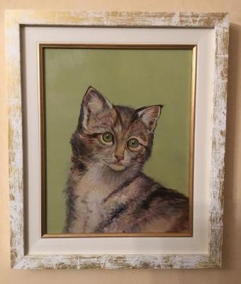 il-gattone
