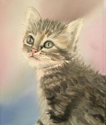 gattino
