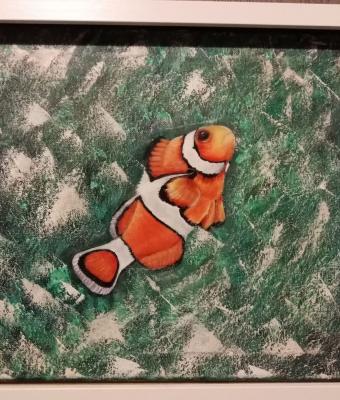 nemo