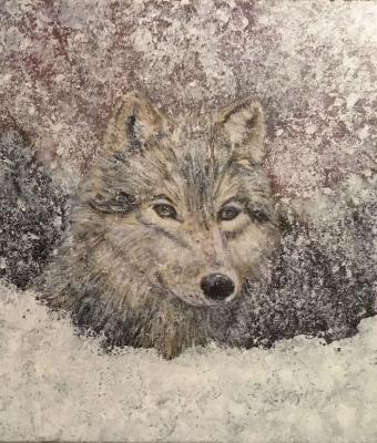 lupo-nella-neve