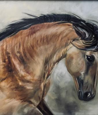 il-cavallo